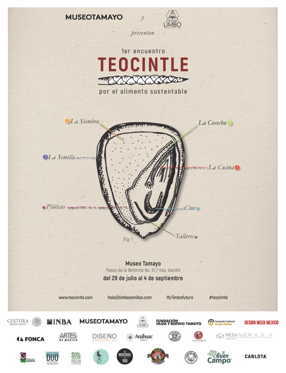 Teocintle_teaser
